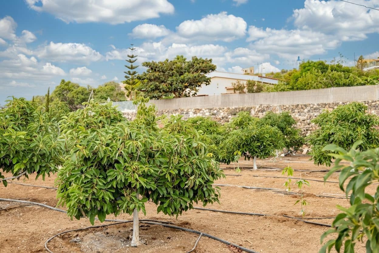 3 sovrum Villa till salu i San Miguel de Abona - 800 000 € (Ref: 9800340)