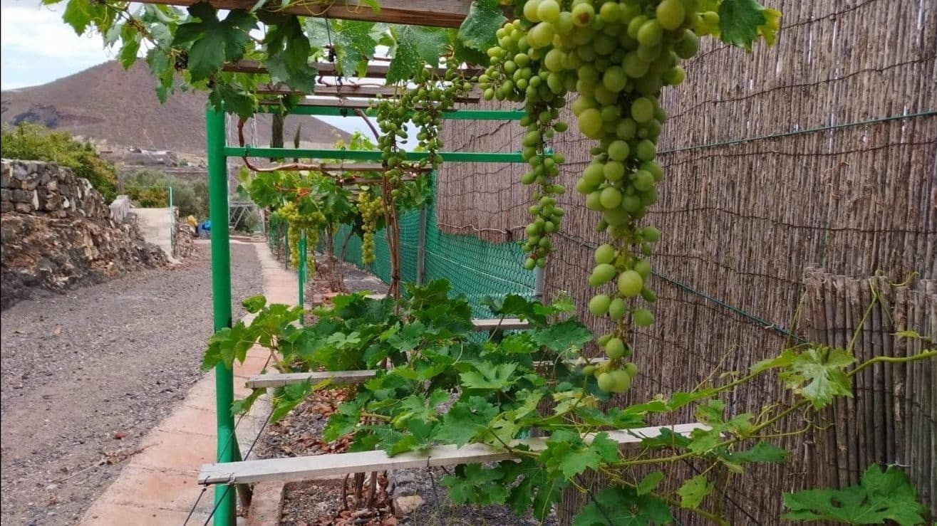 3 sovrum Villa till salu i San Miguel de Abona - 800 000 € (Ref: 9800340)