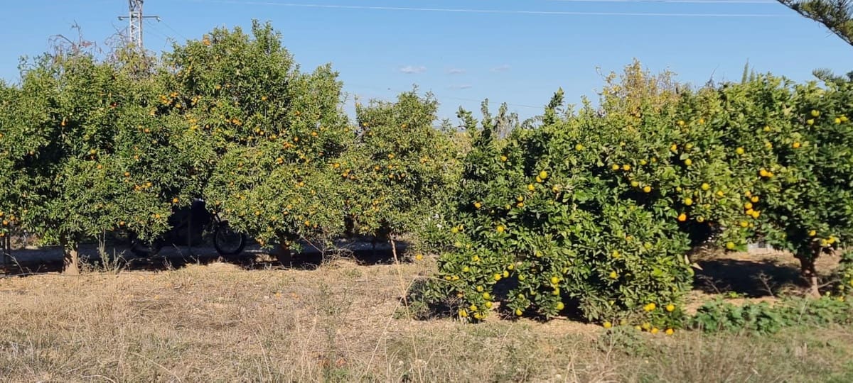 3 slaapkamer Finca/Landhuis te koop in Alhaurin de la Torre - € 480.000 (Ref: 8454097)