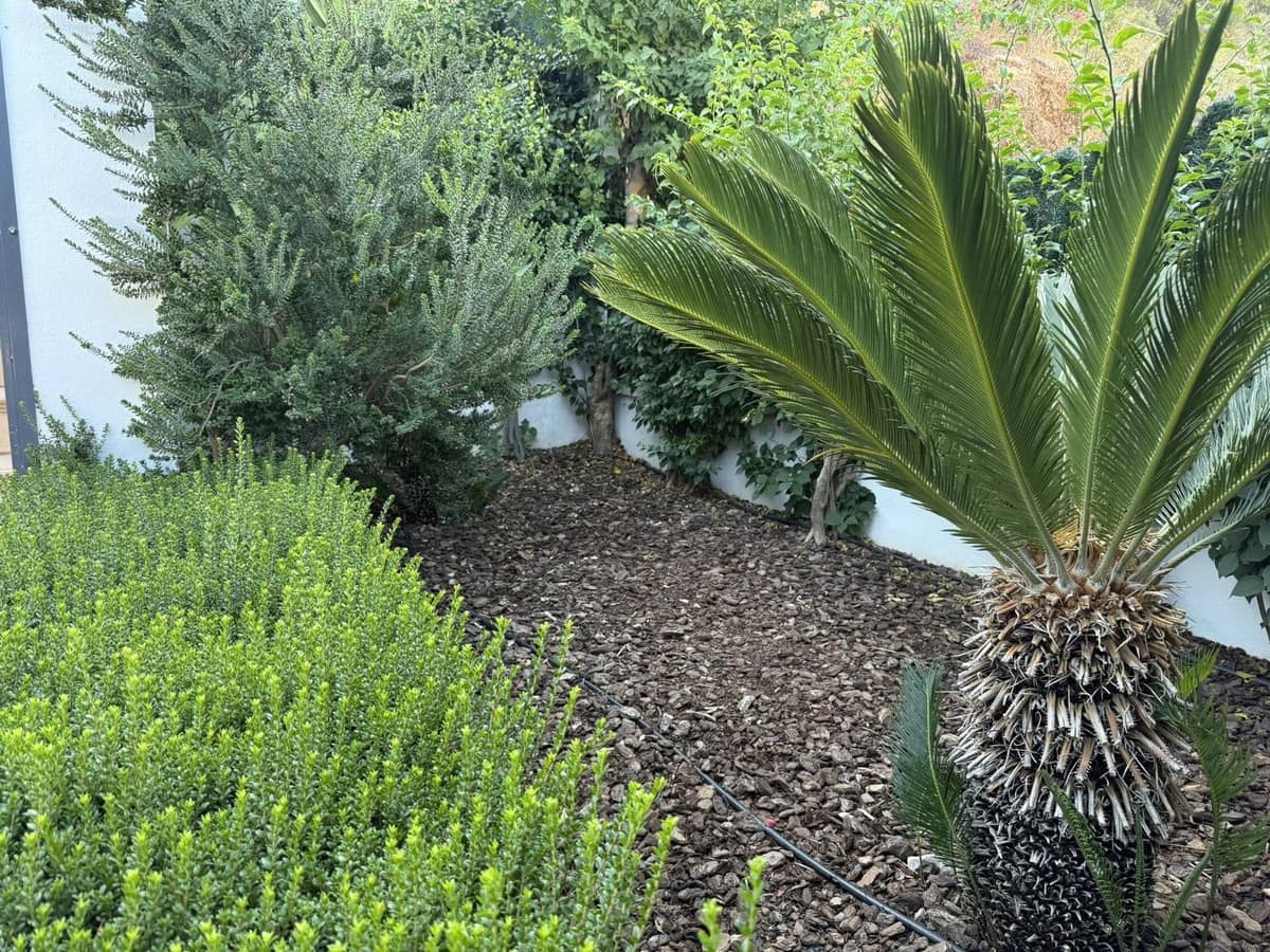 3 soverom Villa til salgs i Coin - € 495 000 (Ref: 9306133)