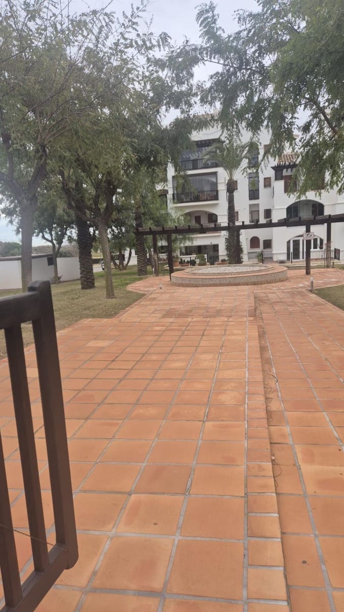 2 bedroom Apartment for rent in Banos y Mendigo with pool - € 700 (Ref: 9626215)