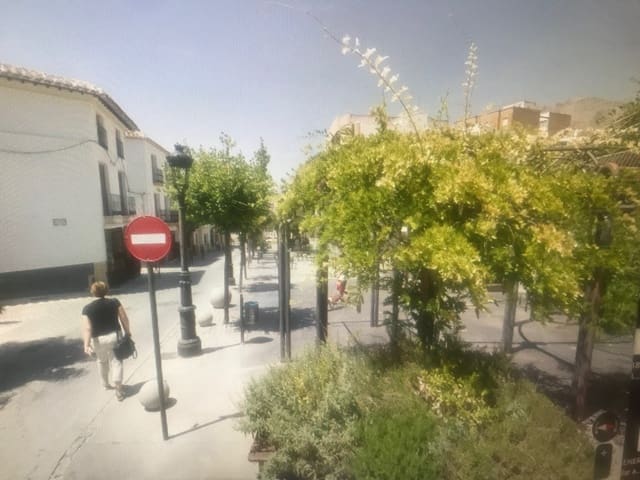 Commercial for sale in Vélez-Rubio - € 170,000 (Ref: 9659435)