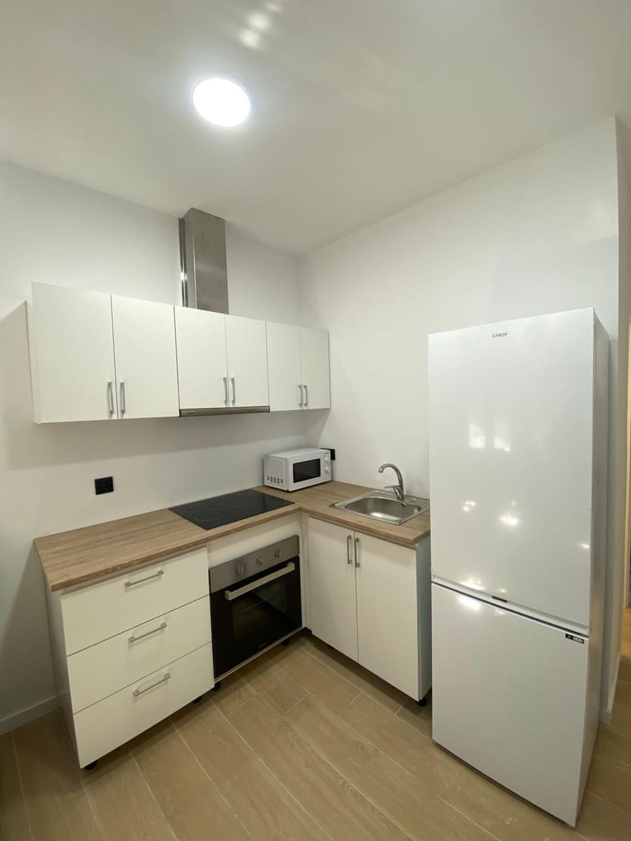 1 soveværelse Loft til leje i Elche / Elx - € 600 (Ref: 9367852)