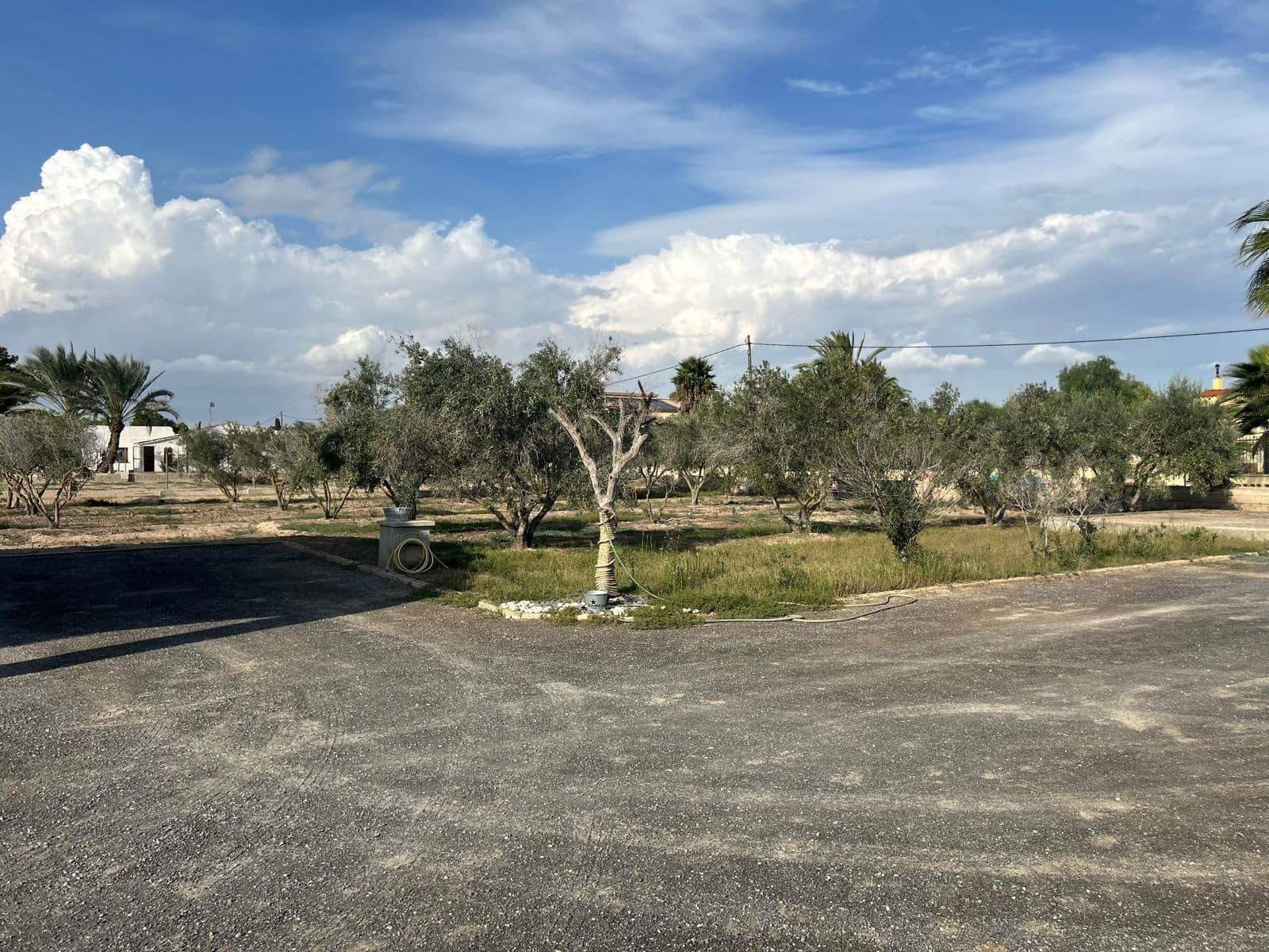 3 makuuhuone Huvila myytävänä paikassa Elche / Elx - 230 000 € (Ref: 9367872)