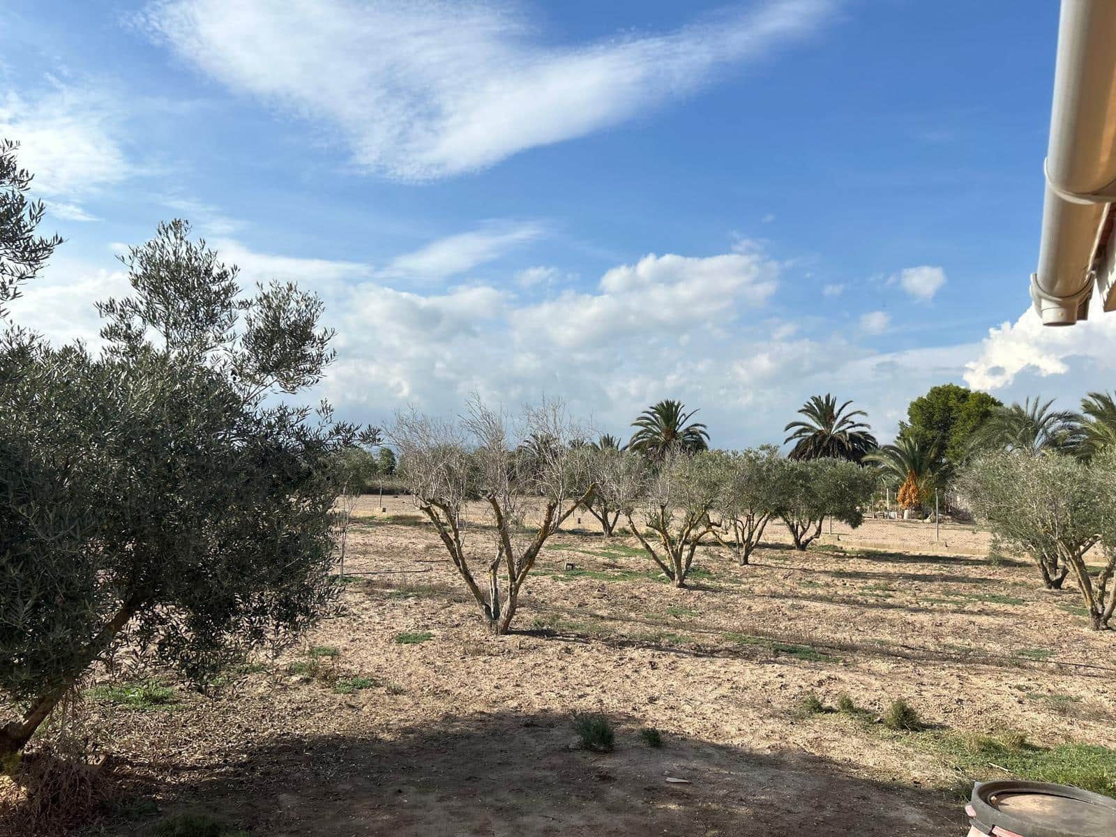 3 makuuhuone Huvila myytävänä paikassa Elche / Elx - 230 000 € (Ref: 9367872)