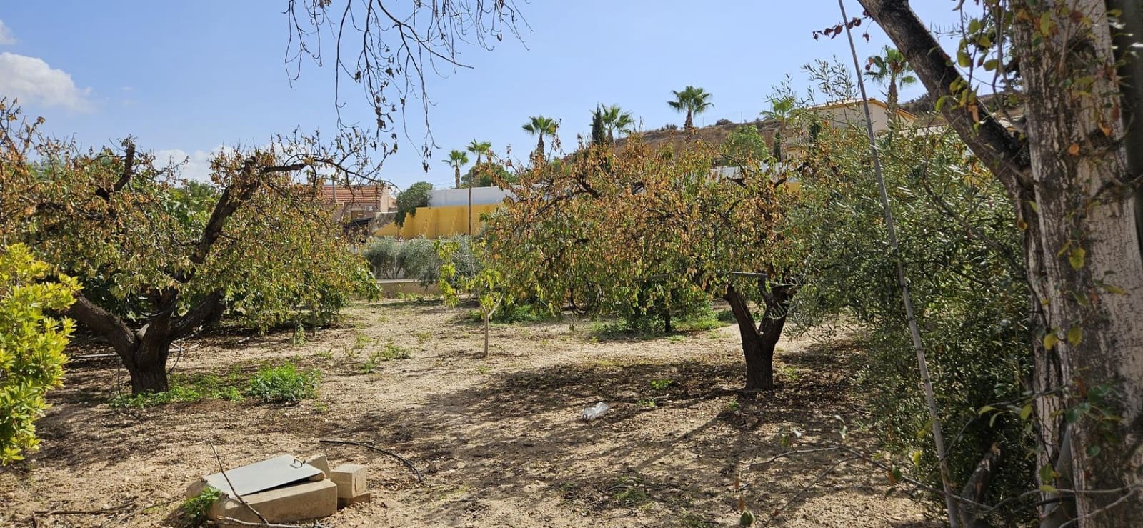 4 sypialnia Finka/Dom wiejski na sprzedaż w Elche / Elx z basenem - 350 000 € (Ref: 9367876)