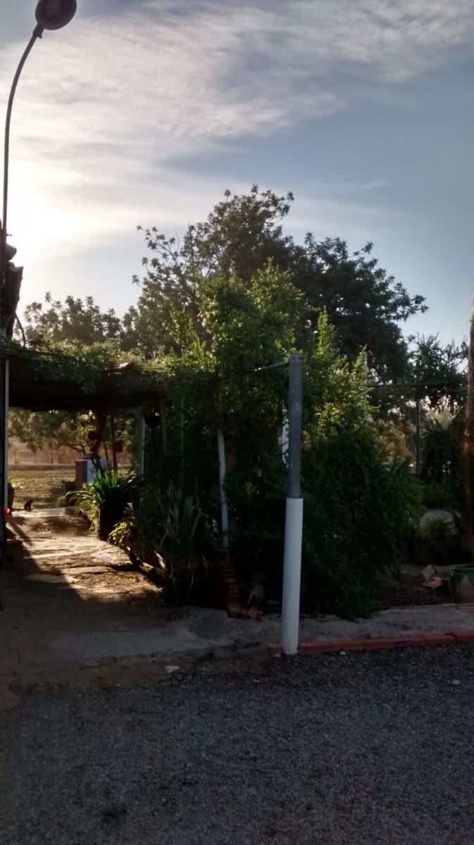 3 soveværelse Villa til salg i Elche / Elx med garage - € 315.000 (Ref: 9367900)