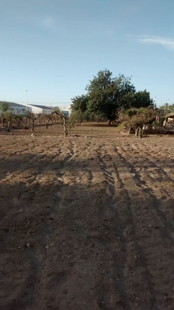 3 soveværelse Villa til salg i Elche / Elx med garage - € 315.000 (Ref: 9367900)