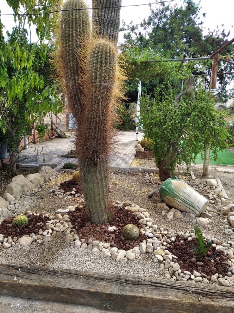 3 soveværelse Villa til salg i Elche / Elx med garage - € 315.000 (Ref: 9367900)