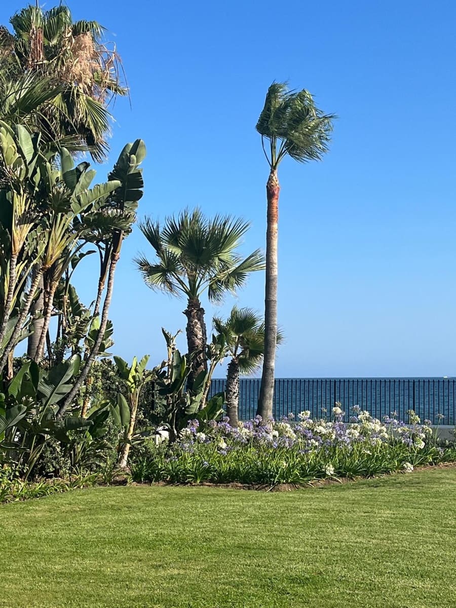 8 quarto Moradia para venda em Estepona com piscina garagem - 14 000 000 € (Ref: 10012520)