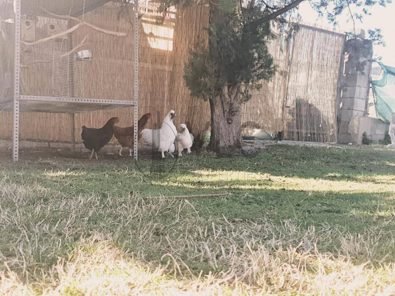 3 soveværelse Villa til salg i Gandia med garage - € 289.900 (Ref: 6840241)