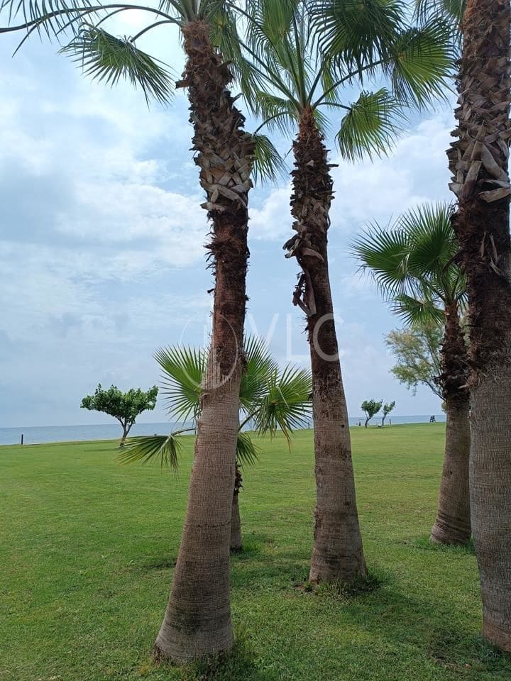 3 chambre Appartement à vendre à Oropesa  avec piscine garage - 175 000 € (Ref: 7657352)