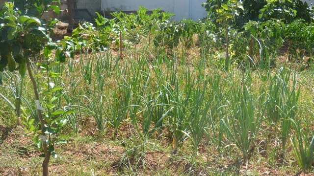 7 bedroom Villa for sale in Montroy with pool garage - € 275,000 (Ref: 8218133)