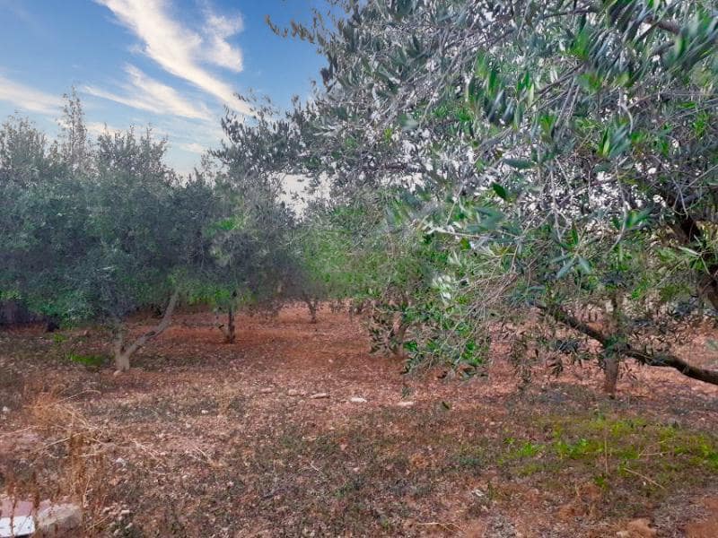 3 soveværelse Villa til salg i Vilafames med swimmingpool - € 275.000 (Ref: 8412949)