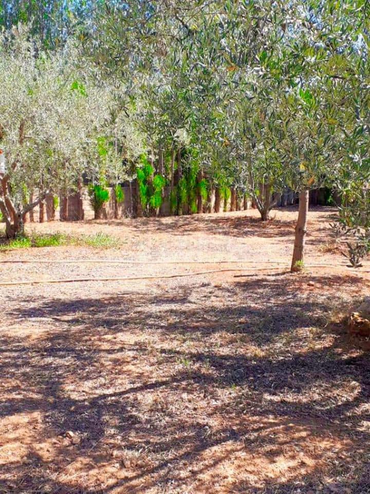 3 soveværelse Villa til salg i Vilafames med swimmingpool - € 275.000 (Ref: 8412949)