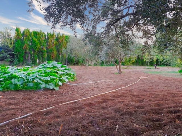 3 soverom Villa til salgs i Vilafamés med svømmebasseng - € 275 000 (Ref: 8412949)