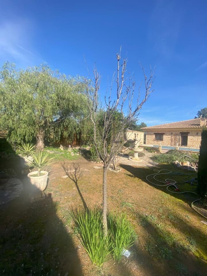 3 soveværelse Villa til salg i Chella med swimmingpool garage - € 349.950 (Ref: 8780732)