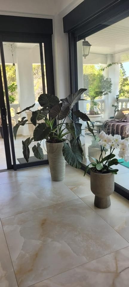 7 chambre Villa/Maison à vendre à Gandia avec piscine - 727 500 € (Ref: 9124300)