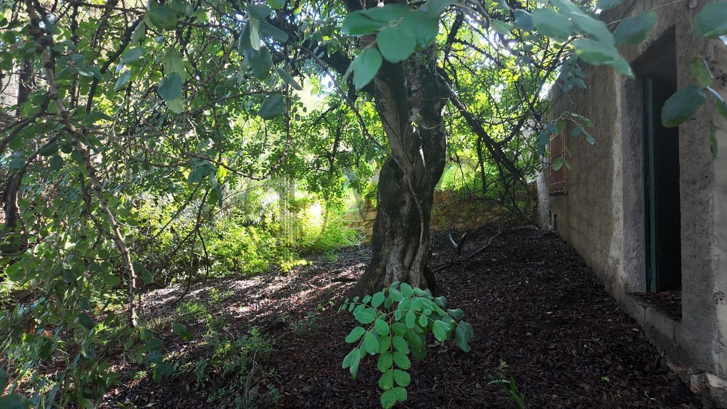 Undeveloped Land for sale in Picassent - € 210,000 (Ref: 9511223)