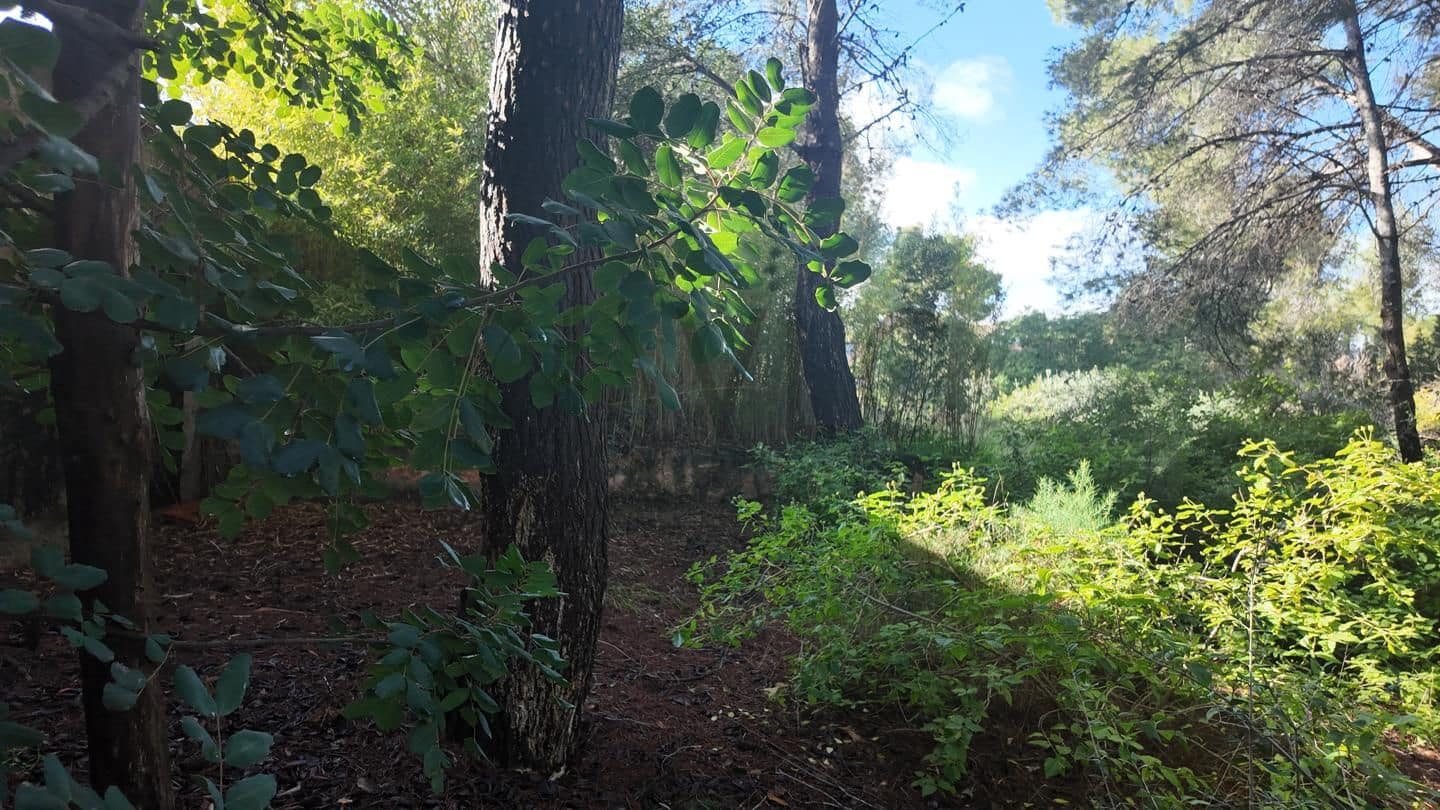 Undeveloped Land for sale in Picassent - € 210,000 (Ref: 9511223)