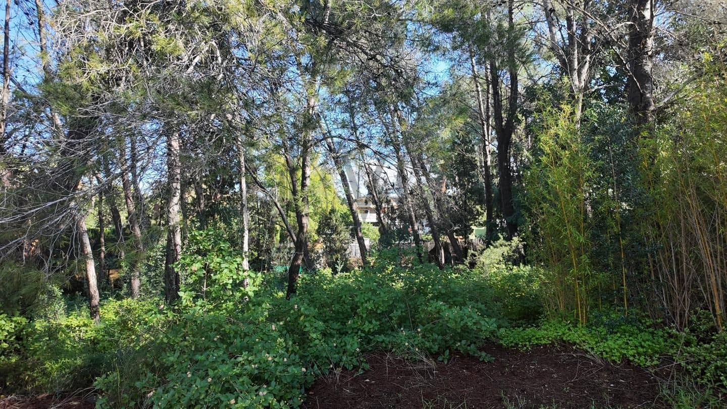 Undeveloped Land for sale in Picassent - € 210,000 (Ref: 9511223)