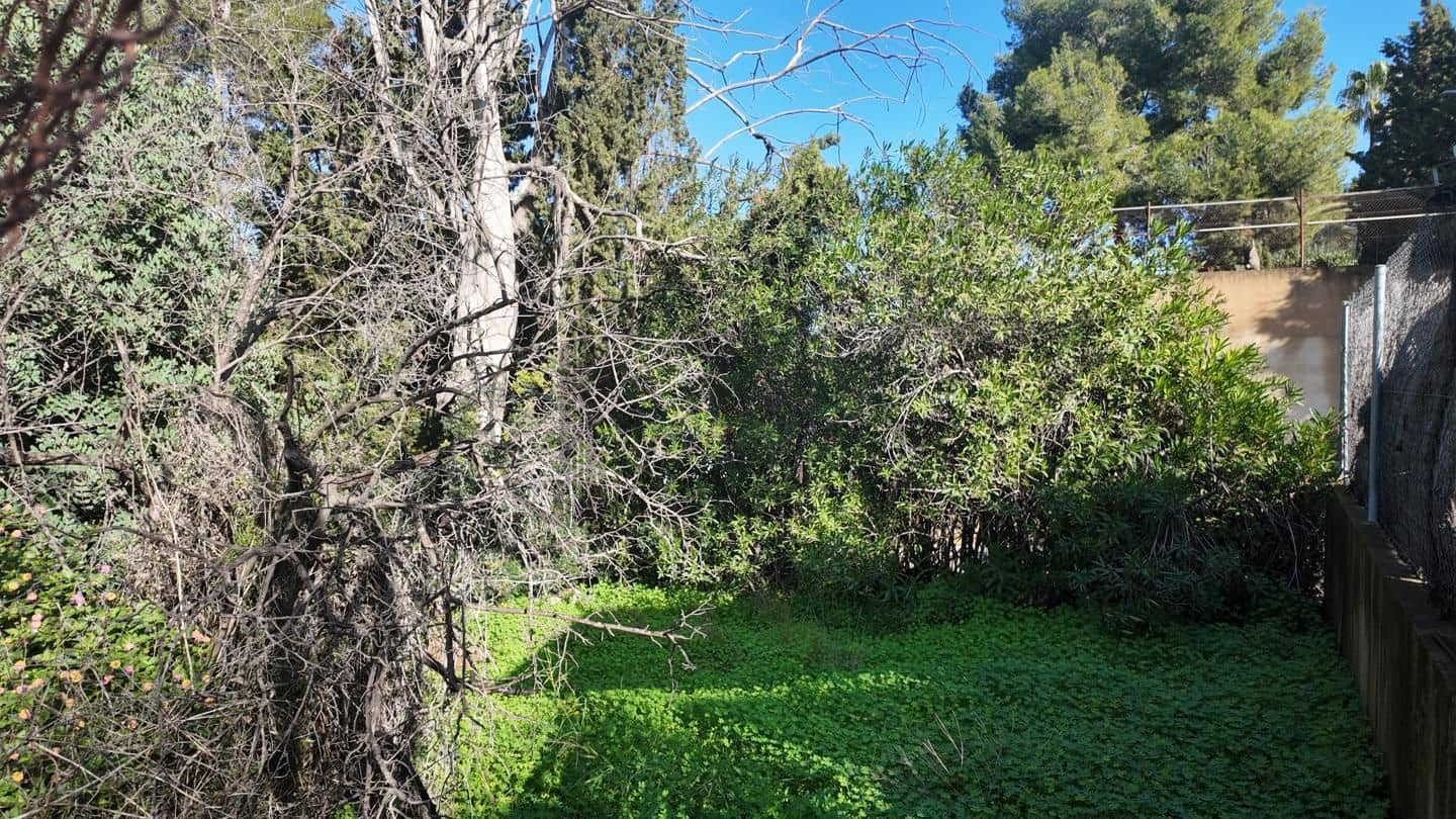 Undeveloped Land for sale in Picassent - € 210,000 (Ref: 9511223)