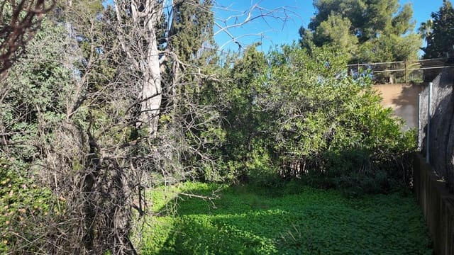 Undeveloped Land for sale in Picassent - € 210,000 (Ref: 9511223)