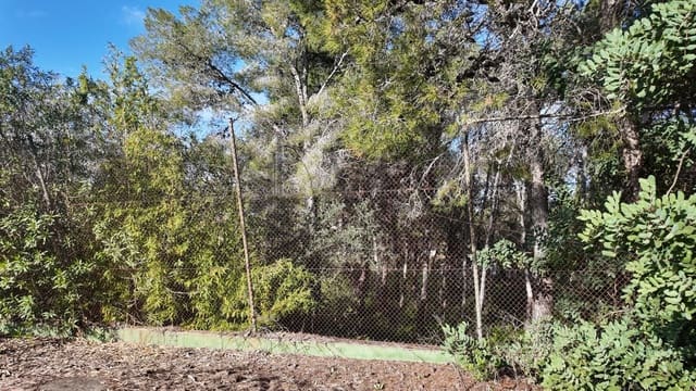 Undeveloped Land for sale in Picassent - € 210,000 (Ref: 9511223)