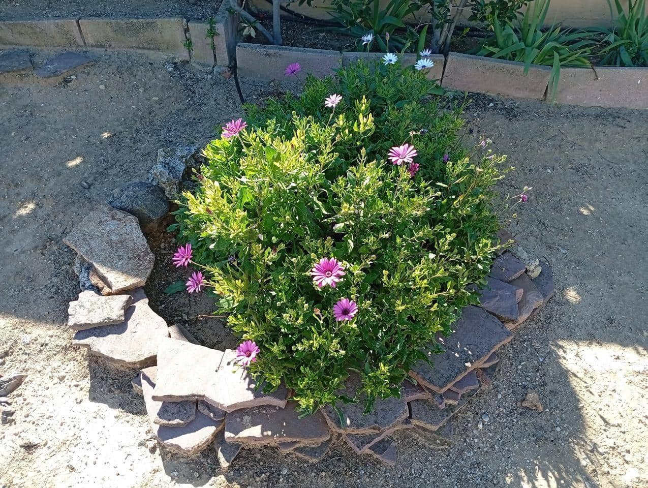 5 camera da letto Villa in vendita in Montserrat con piscina garage - 239.000 € (Rif: 9619490)