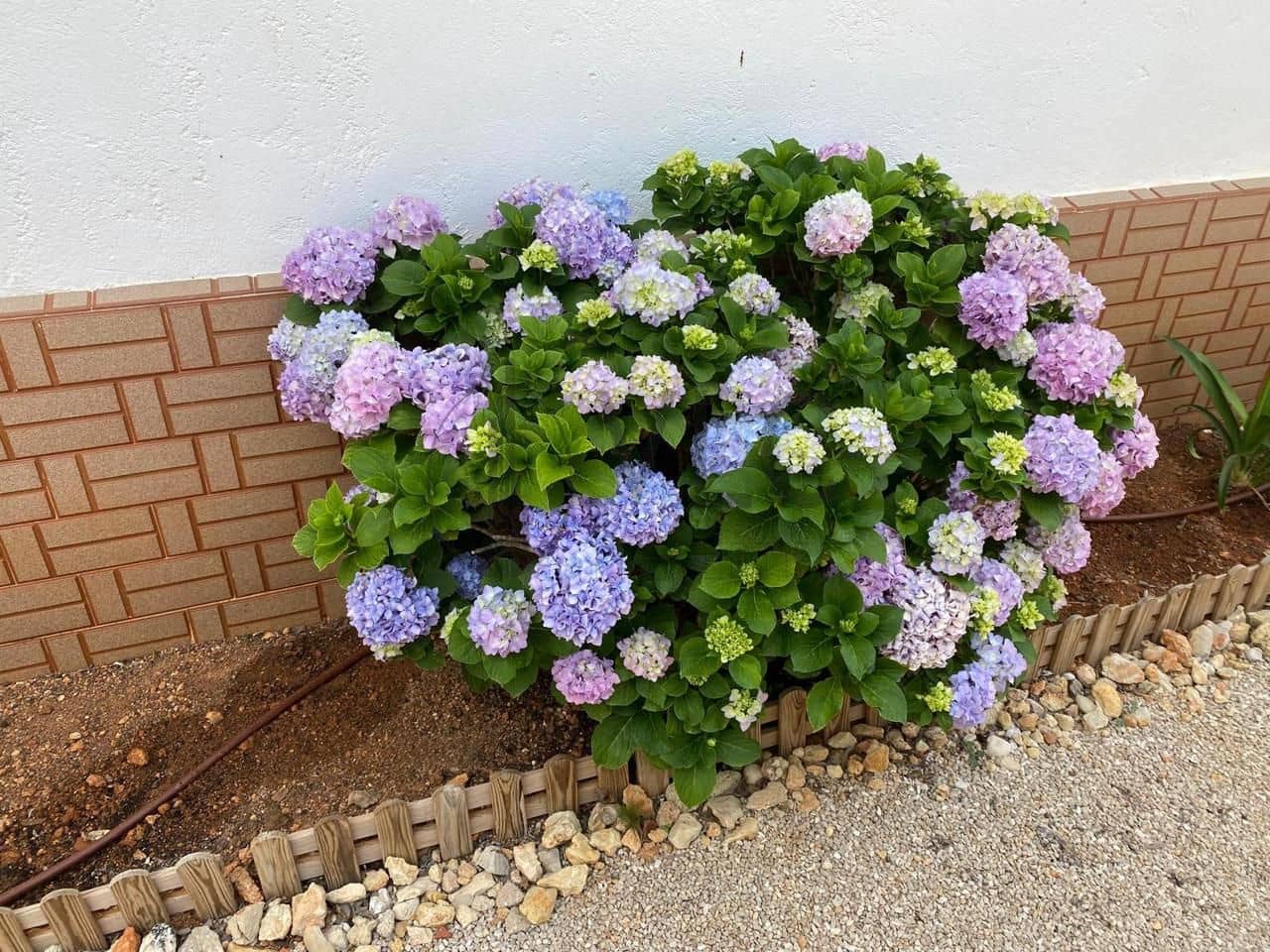 4 camera da letto Villa in vendita in Gandia con piscina garage - 325.000 € (Rif: 9623125)