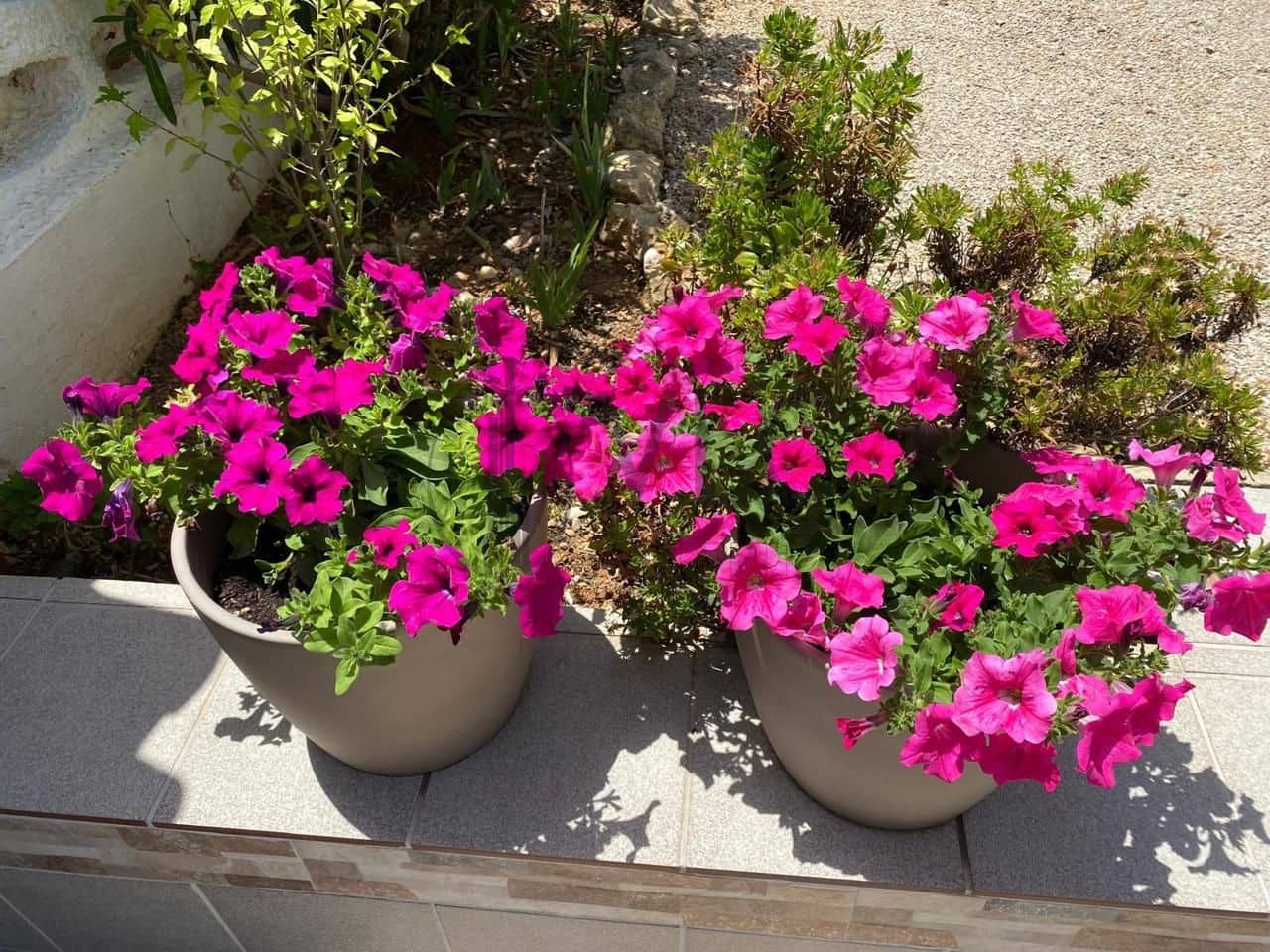 4 camera da letto Villa in vendita in Gandia con piscina garage - 325.000 € (Rif: 9623125)