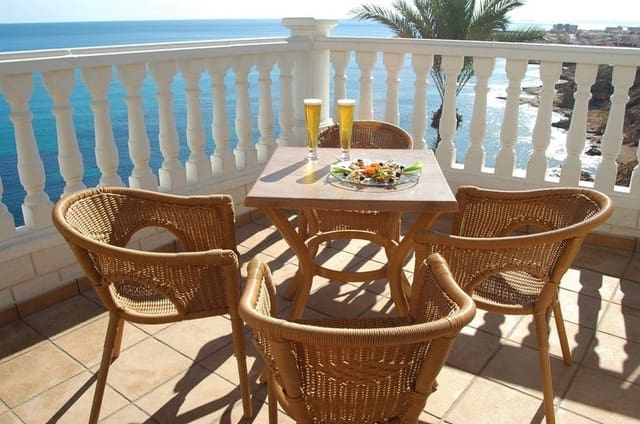 50 quarto Comercial para venda em Torrevieja com piscina - 6 000 000 € (Ref: 7904502)