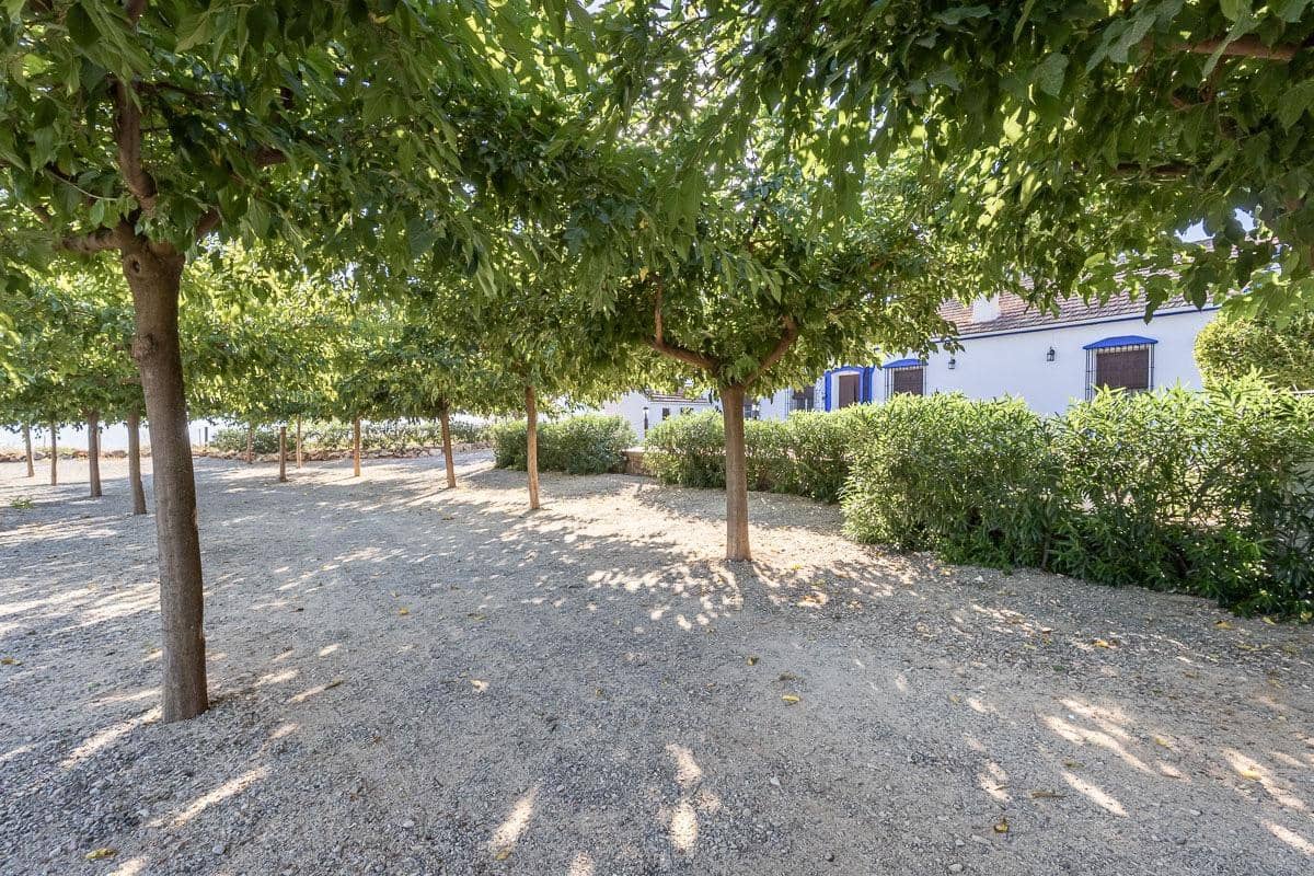 5 Zimmer Villa zu verkaufen in Illora mit Pool Garage - 650.000 € (Ref: 10098470)