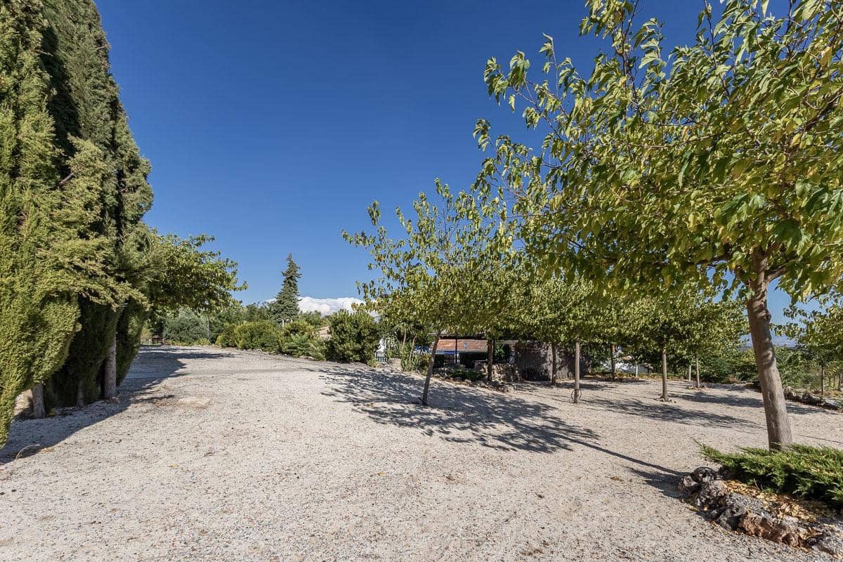 5 Zimmer Villa zu verkaufen in Illora mit Pool Garage - 650.000 € (Ref: 10098470)