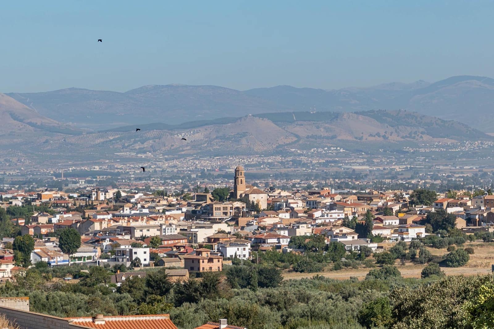 Terrain à Bâtir à vendre à Otura - 220 000 € (Ref: 10109755)