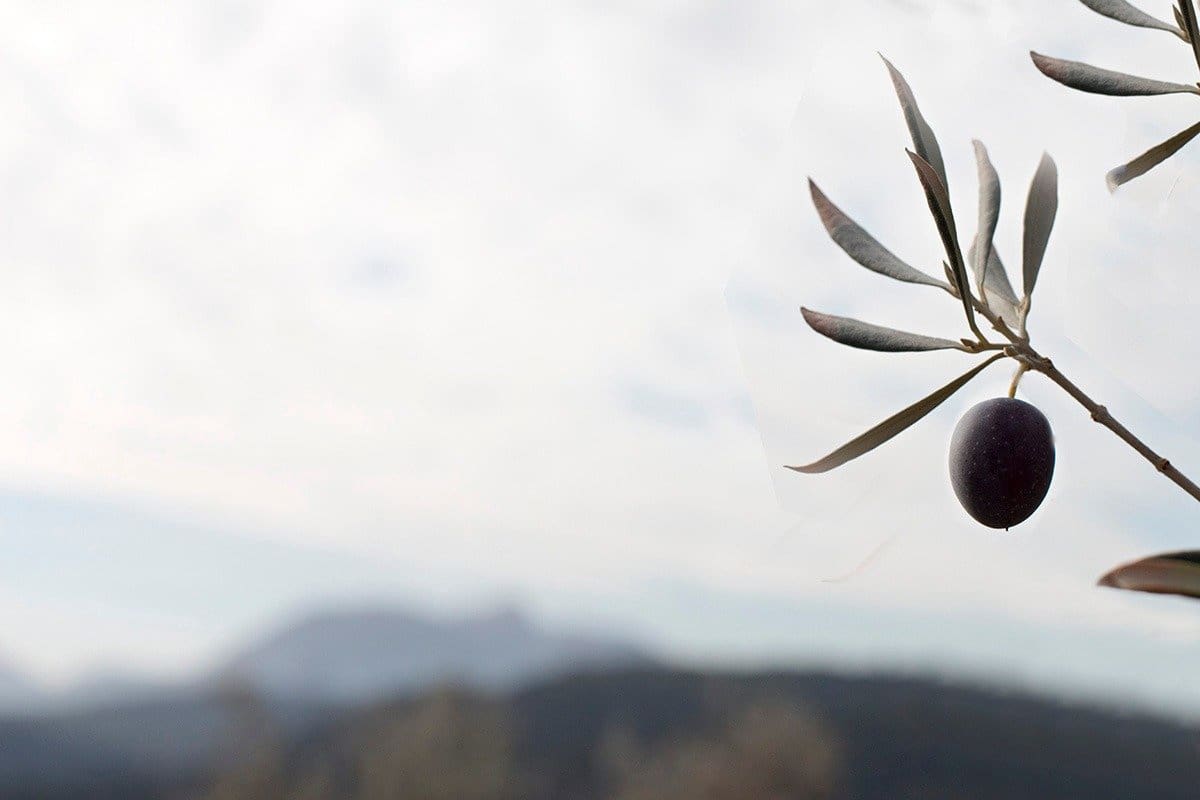 Finca/Landehus til salg i Loja - € 2.100.000 (Ref: 6863906)