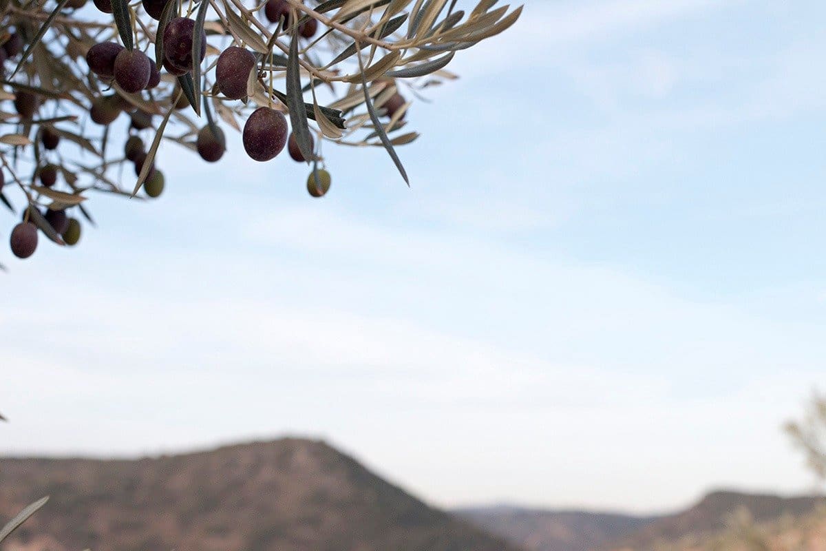 Finca/Landehus til salg i Loja - € 2.100.000 (Ref: 6863906)