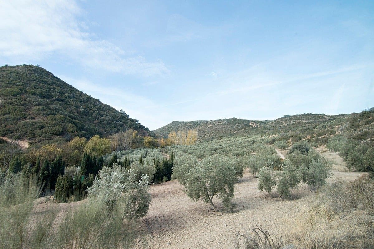 Finca/Landehus til salg i Loja - € 2.100.000 (Ref: 6863906)