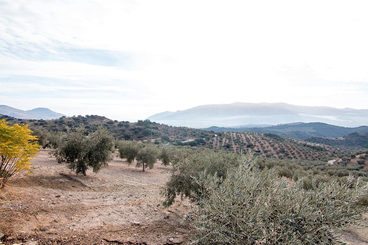 Finca/Landehus til salg i Loja - € 2.100.000 (Ref: 6863906)