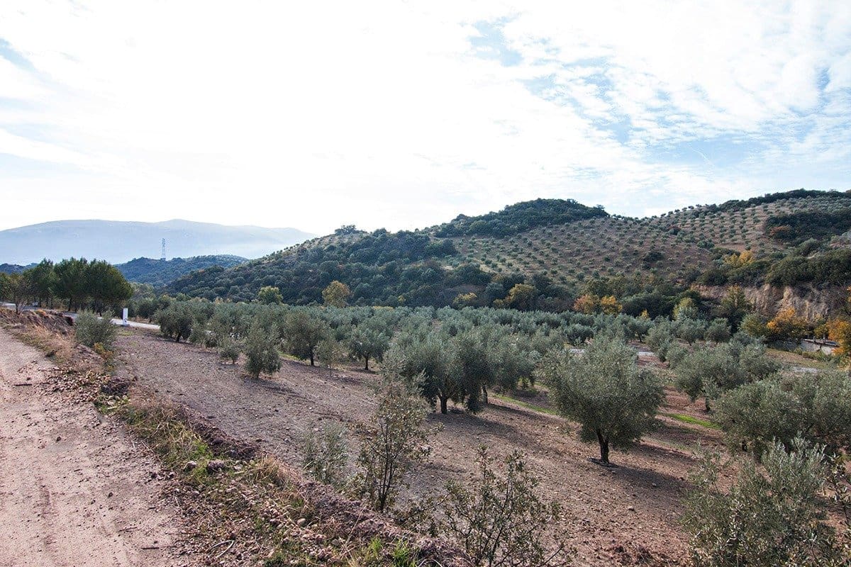 Finca/Landehus til salg i Loja - € 2.100.000 (Ref: 6863906)