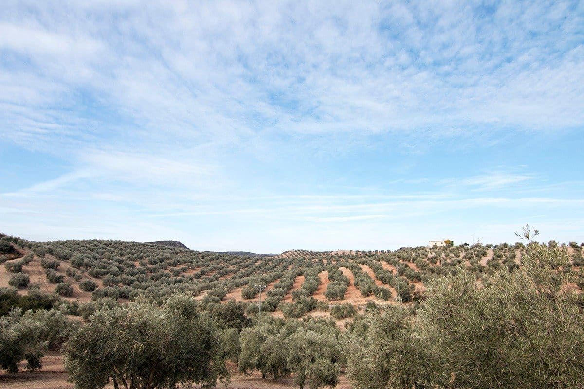 Finca/Landehus til salg i Loja - € 2.100.000 (Ref: 6863906)