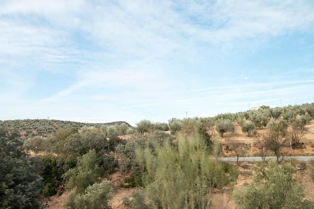 Quinta/Casa Rural para venda em Loja - 2 100 000 € (Ref: 6863906)