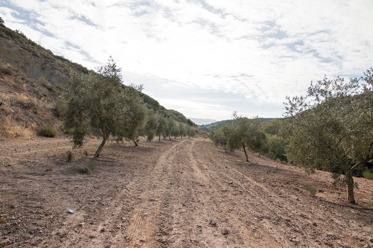 Finca/Landehus til salg i Loja - € 2.100.000 (Ref: 6863906)