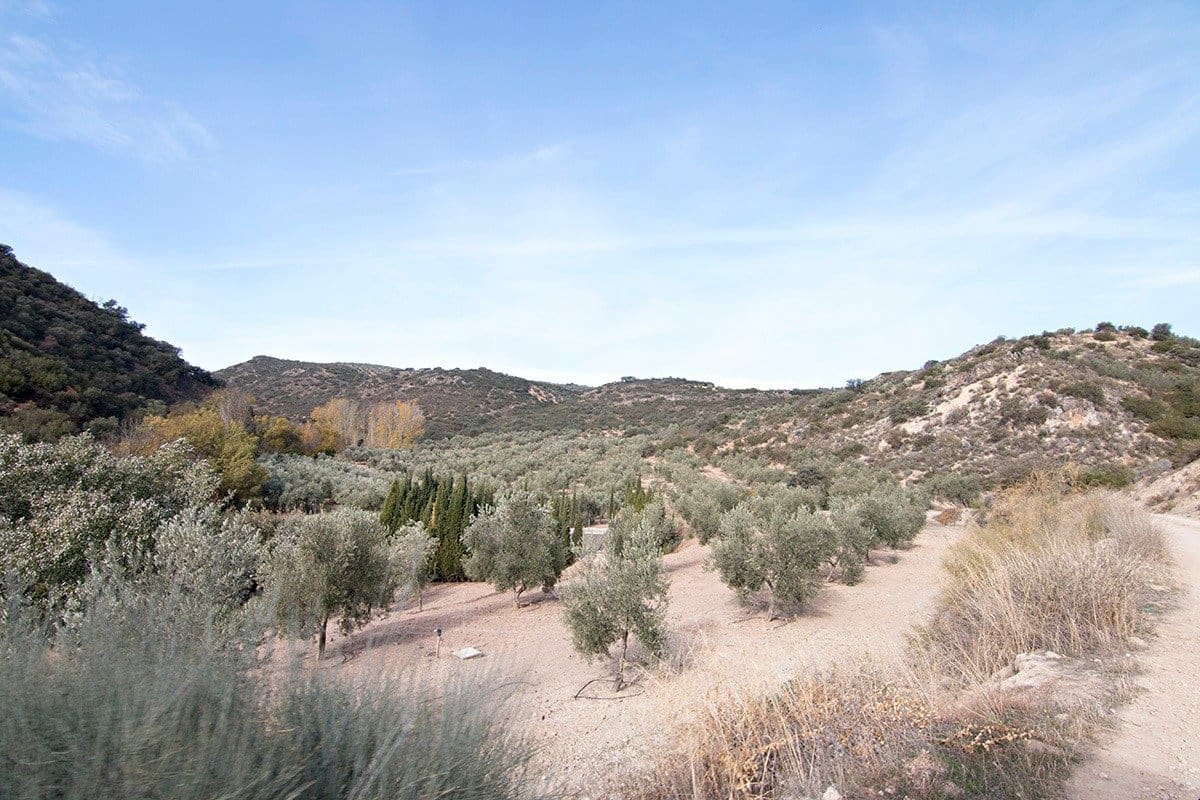 Finca/Landehus til salg i Loja - € 2.100.000 (Ref: 6863906)