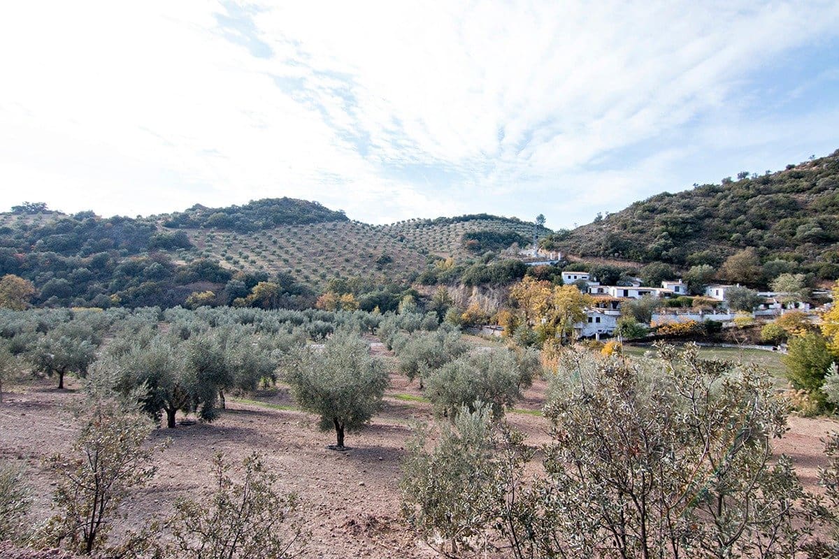 Finca/Landehus til salg i Loja - € 2.100.000 (Ref: 6863906)