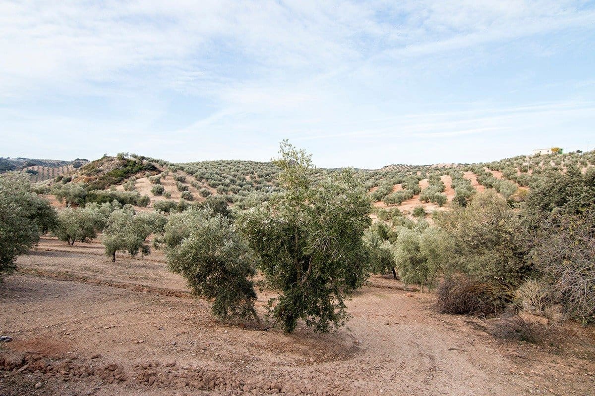 Finca/Landehus til salg i Loja - € 2.100.000 (Ref: 6863906)