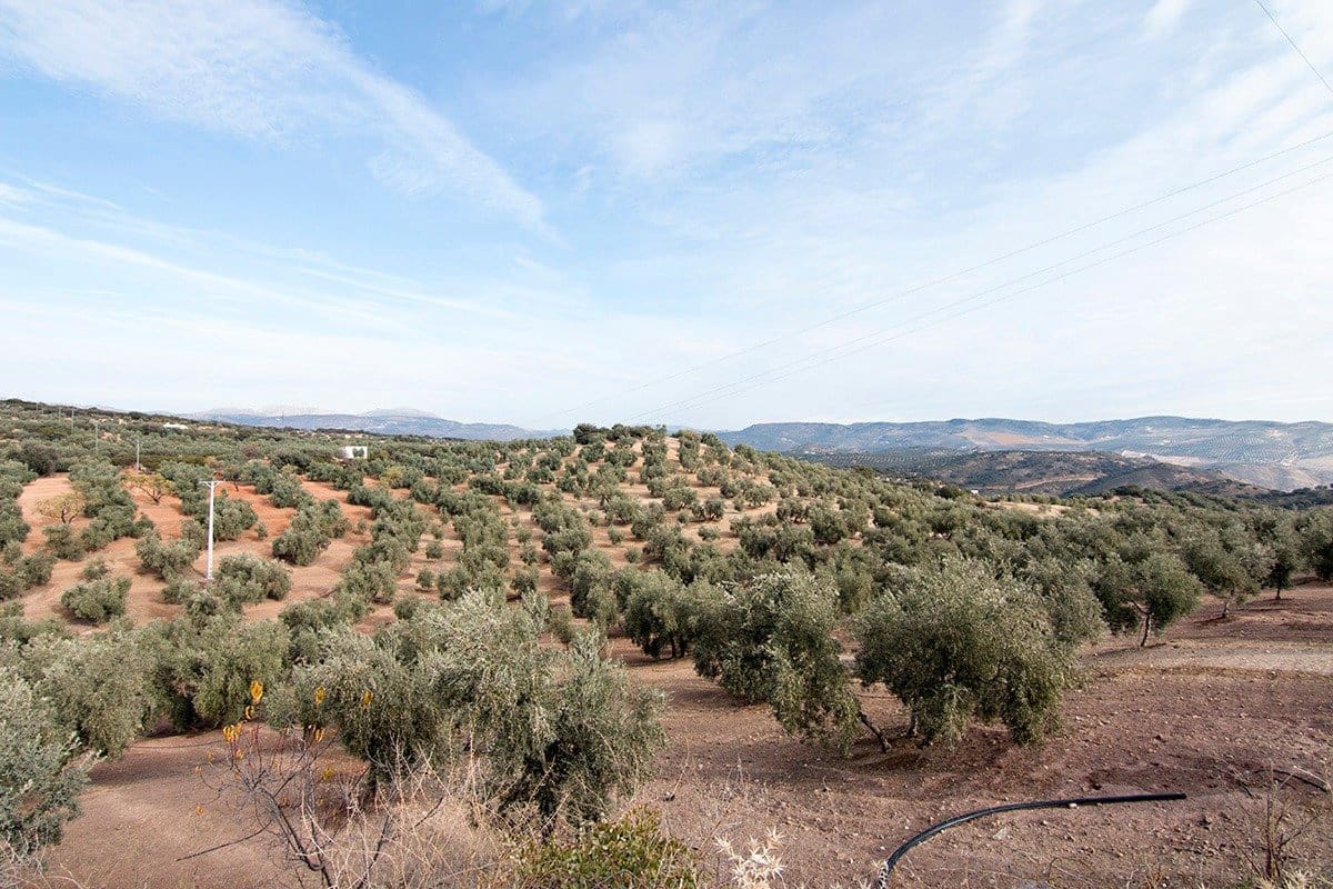 Finca/Landehus til salg i Loja - € 2.100.000 (Ref: 6863906)