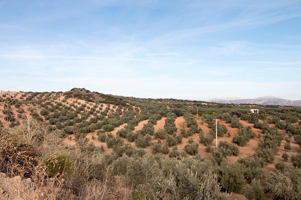 Finca/Landehus til salg i Loja - € 2.100.000 (Ref: 6863906)