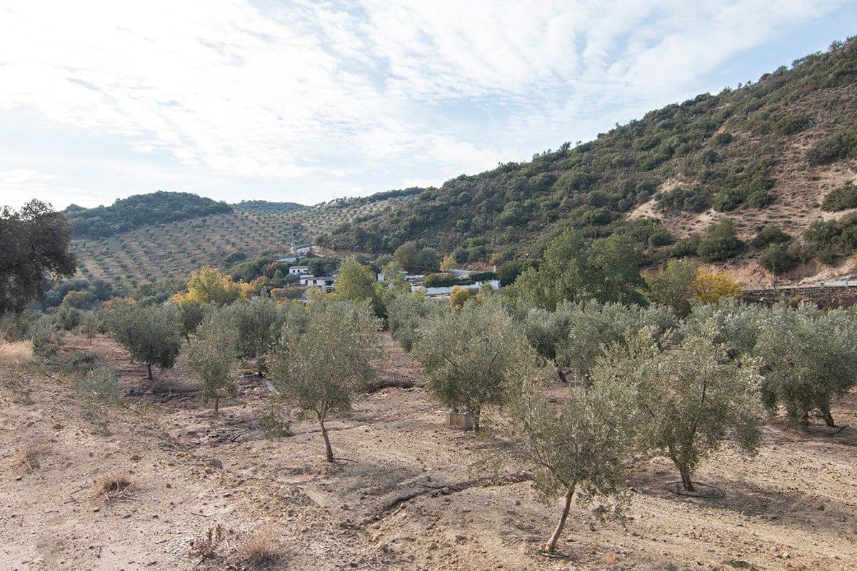 Finca/Landehus til salg i Loja - € 2.100.000 (Ref: 6863906)