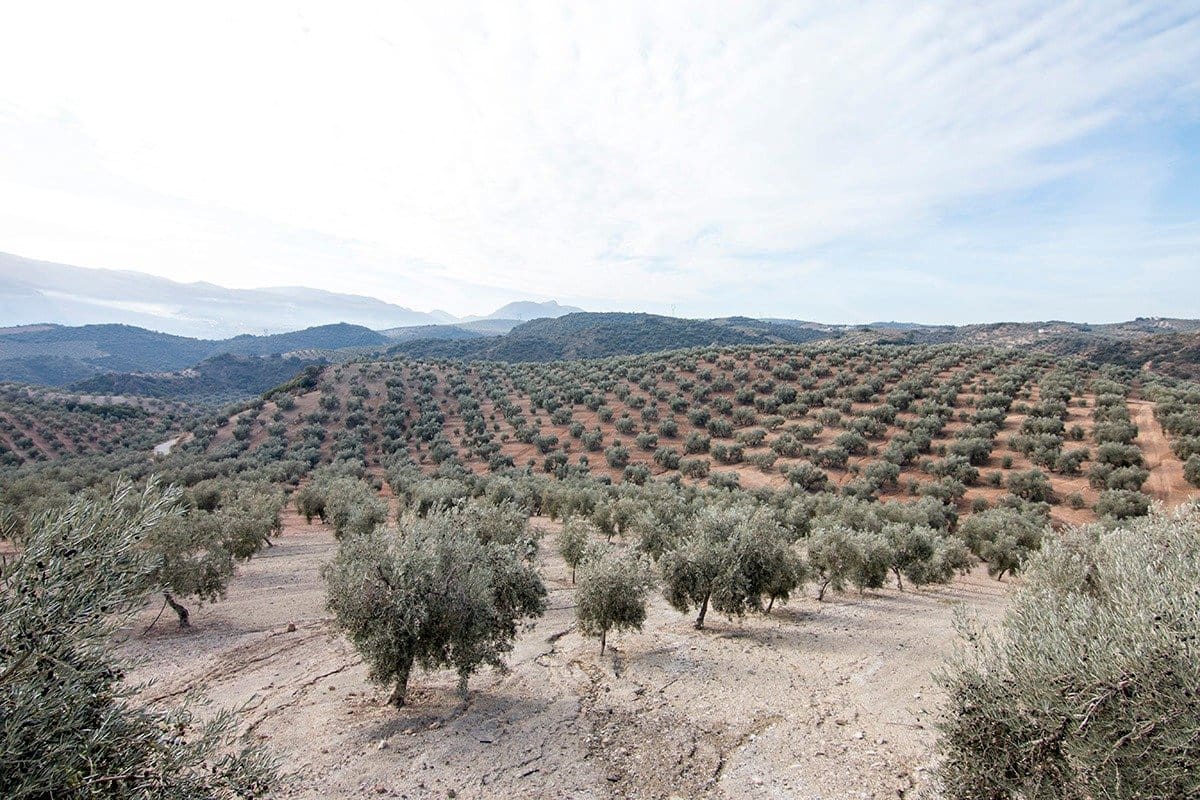 Finca/Landehus til salg i Loja - € 2.100.000 (Ref: 6863906)